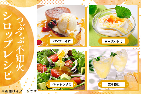 つぶつぶ 不知火 シロップ 500g × 2本 セット レシピ付 果肉 60% 贅沢使用 保存料不使用 水不使用 ビートグラニュー糖 炭酸割 料理 佐賀県 鹿島市 岡屋Farm&ily B-914