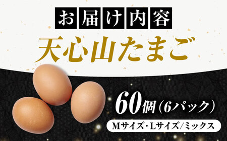 天心山 たまご 60個（10個入り×6パック） 卵 たまご 高級 食品 たまごかけご飯 卵かけご飯 卵焼き 生卵 濃厚 ケーキ お菓子 づくり ランキング 上位 人気 おすすめ 　広島県福山市/天心山
