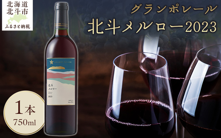 【12/23までの寄附で年内配送】グランポレール　北斗メルロー2023 HOKJ010