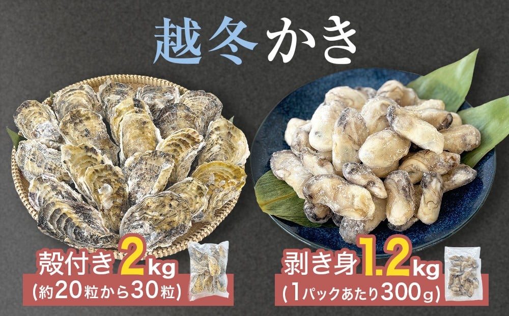 
                  ＜数量限定＞ 越冬かき剥き身 越冬殻付かき セット 加熱用 約 3kg 冷凍 牡蠣 かき カキ 剥き身 むき身 殻付き 殻つき 冷凍牡蠣 カキフライ 牡蠣鍋 焼き牡蠣 蒸し牡蠣 貝 海鮮 魚介 魚介類 宮城県産 新鮮 急速冷凍 濃厚 宮城 石巻 宮城県 石巻市
                