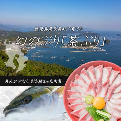 ふるさと納税 長島町 どん薩摩の茶ぶりお刺身セット(専用醤油付き)・小_never-7261 |  | 01