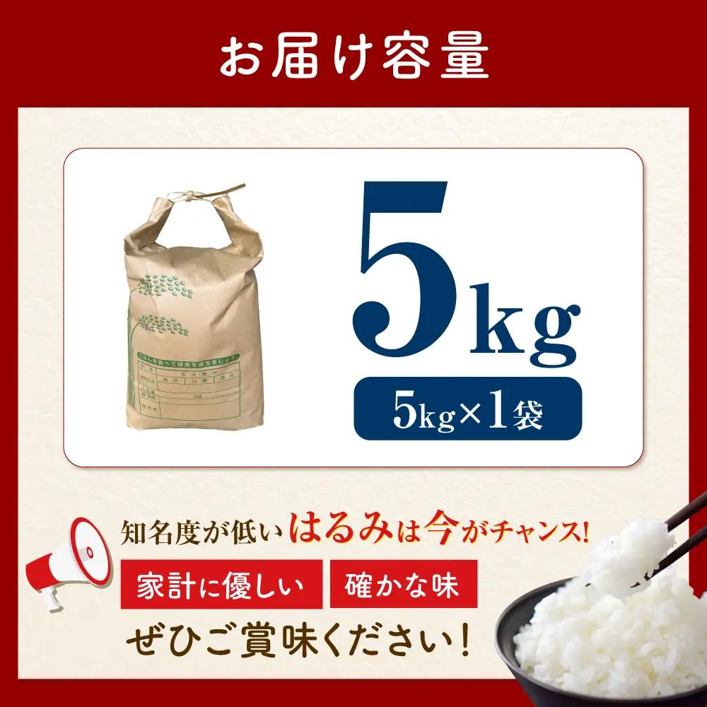 米 はるみ米 5kg はるみ [BDBB002] 