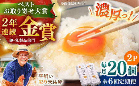 【全6回定期便】彩り天佑卵 20個入り 卵 卵 卵  卵 卵 たなべたたらの里[AIDL013]