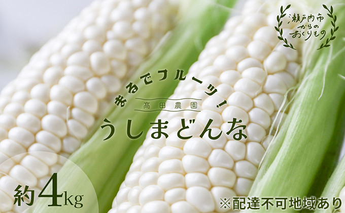 
                  ［2026年先行予約］ 牛窓産とうもろこし まるでフルーツ！ 生で甘い、茹でて美味い！ 白色とうもろこし 「うしまどんな」約4kg（8～12本入り） 野菜 夏野菜 とうもろこし トウモロコシ ホワイトコーン ホワイト 甘い 美味しい 新鮮 産地直送 冷蔵
                