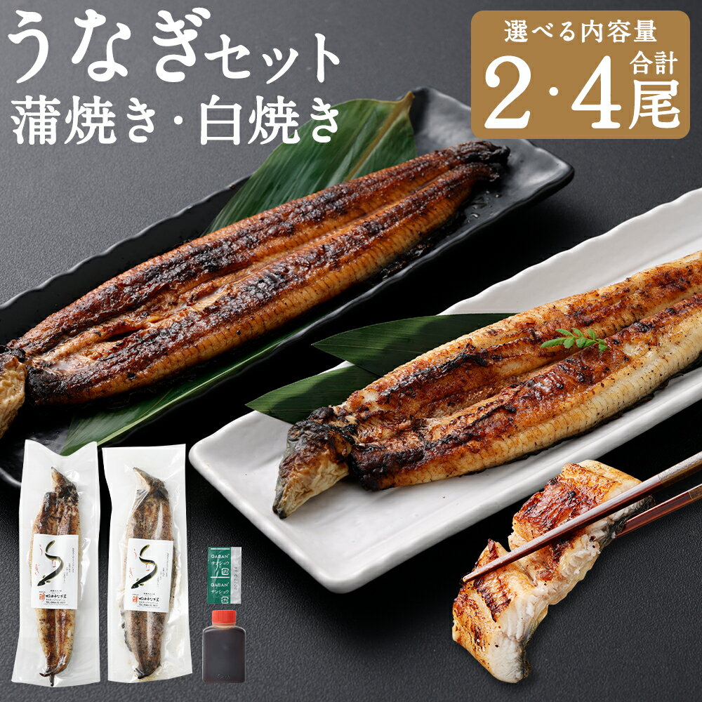 【ふるさと納税】＜選べる容量＞うなぎの蒲焼き（約160g以上） ・ 白焼き（約150g以上） （各1尾 （計2尾） ／ 各2尾 （計4尾） ） ／ 鰻 ウナギ うなぎ 蒲焼 蒲焼き かばやき 白焼 しらやき 魚 さかな 魚介類 魚介 国産 鹿児島県産 宮崎県産 熊本県 人吉市 冷凍 送料無料