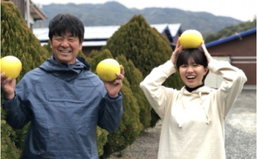 
                  土佐文旦 選べる 容量 10kg 5kg 3kg 家庭用 文旦 ぶんたん みかん 高知 フルーツ スイーツ 蜜柑 お裾分け デザート 柑橘 ジャム お菓子 彩り柑橘園 宿毛市 高知県
                