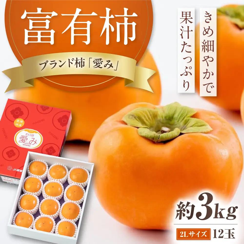 柿 富有柿 2L玉サイズ　約3kg  BKAL002