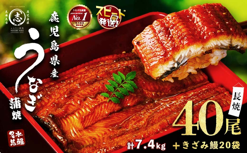 鹿児島県産うなぎ蒲焼 名水慈鰻 40尾(1尾約160g)+きざみ鰻20袋(1袋約50g)＜合計約7.4kg＞ wb82-001