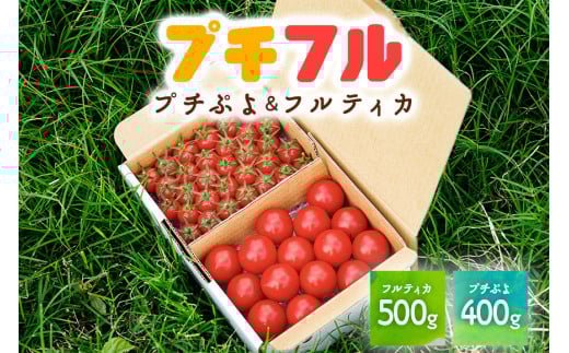 PN03　宮古島産トマト 【フルティカ500ｇ・プチぷよ400ｇ】お試しセット　約900g