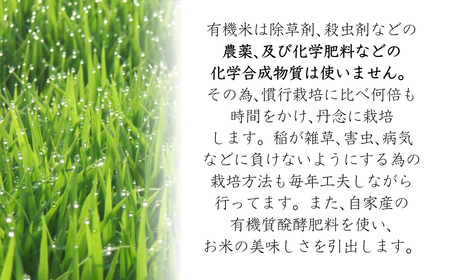 29P243 ＜数量限定＞令和6年産 魚沼産コシヒカリJAS有機栽培米 5kg×2袋 玄米（魚沼わたなべ農園） 魚沼 有機 米