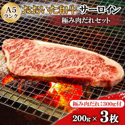 【ふるさと納税】おおいたの美味しいお肉食べつくしセットC【複数個口で配送】【配送不可地域：離島】【4063853】