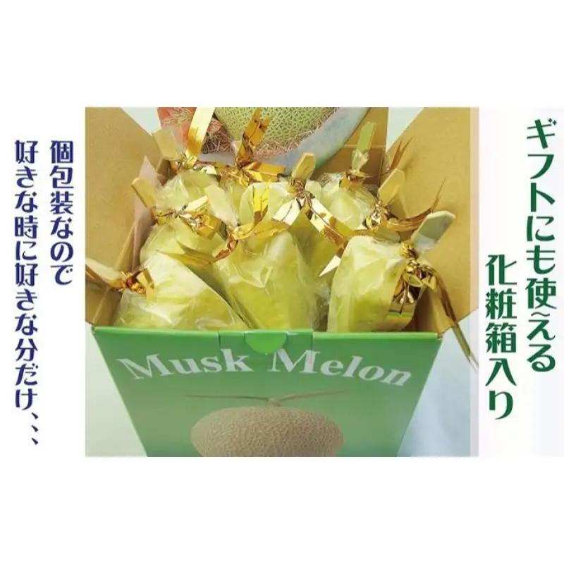 アイススティック 10本 12回 フルーツ 果物 メロン