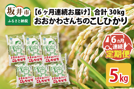 【令和7年産】 【6ヶ月連続お届け定期便】おおかわさんちのコシヒカリ 5kg × 6回 計30kg 精米 [G-10802]