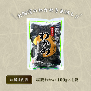 わかめ 100g 湯通し塩蔵わかめ