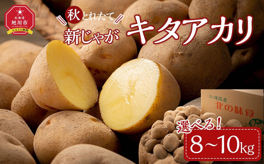 
                  【容量選択可能】【先行予約】秋とれたて 新じゃが キタアカリ 8kg or 10kg（2026年10月発送開始予定）【じゃがいも 野菜 産地直送 旬 お取り寄せ 旭川市 北海道 】
                