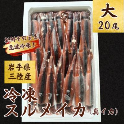 ふるさと納税 普代村 【鮮度そのまま急速冷凍】冷凍スルメイカ 大サイズ 20尾入