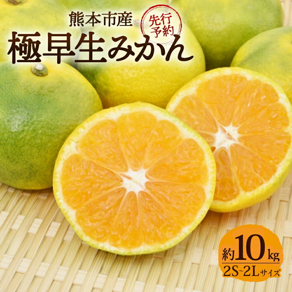 【ふるさと納税】＜選べる内容量＞極早生みかん 2S～2Lサイズ 約2.5kg / 約5kg / 約7kg / 約10kg みかん ミカン 蜜柑 かんきつ 柑橘 フルーツ くだもの 果物 デザート 熊本県産 国産 熊本県 熊本市 送料無料 【2026年10月上旬～11月上旬発送予定】