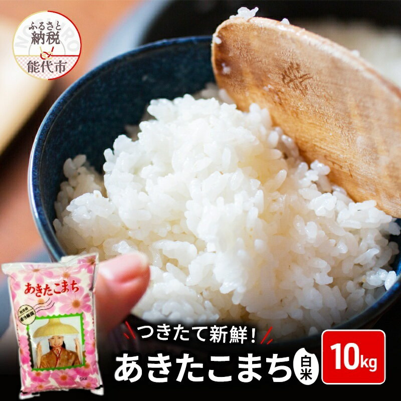 【ふるさと納税】秋田県産 あきたこまち 10kg 令和7年産 精米 [ ご飯 ブランド米 おにぎり 本場 お米 産地直送 おこめ ごはん 秋田県 秋田 能代市 保坂米穀店 ] 　お届け：2026年1月中旬頃より順次発送予定