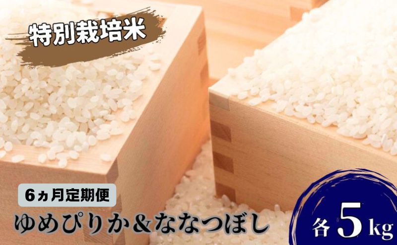 ◆6ヵ月連続お届け お米の定期便◆北海道日高【田中農園】R6年産 ゆめぴりか＆ななつぼし 各5kg 食べ比べ セット 特別栽培米