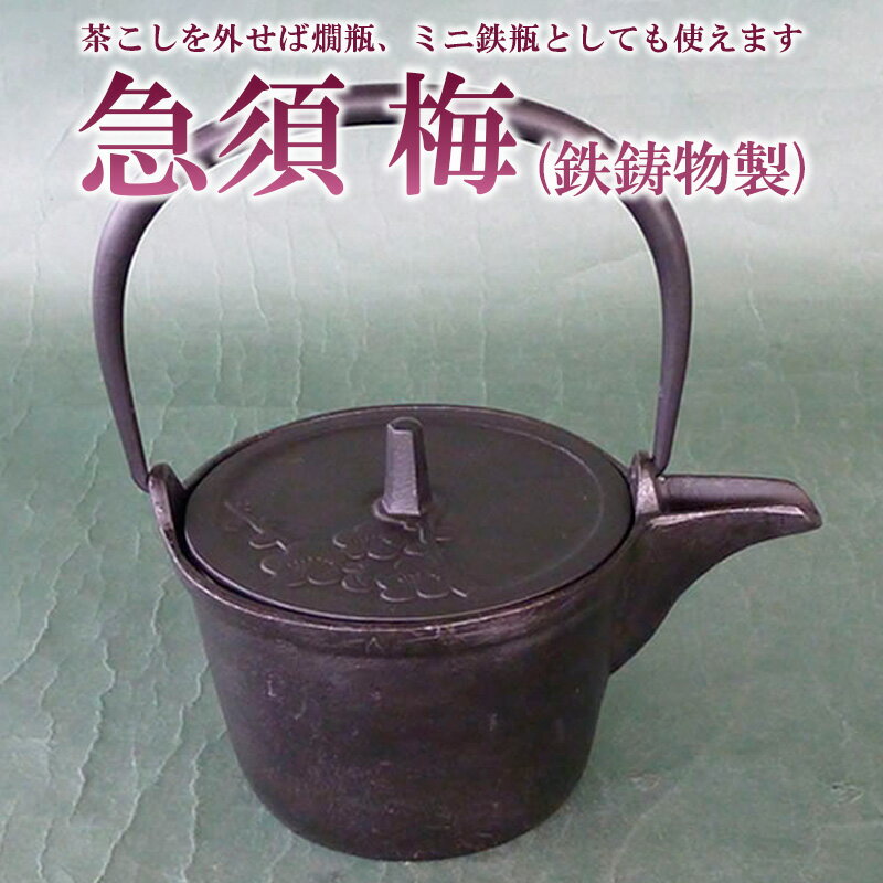 【ふるさと納税】急須 梅 0.3L FY20-445