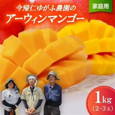 【2026年7月から順次発送・家庭用】今帰仁ゆがふ農園のアーウィンマンゴー1kg(2～3玉)【配送不可地域：離島】【1694707】
