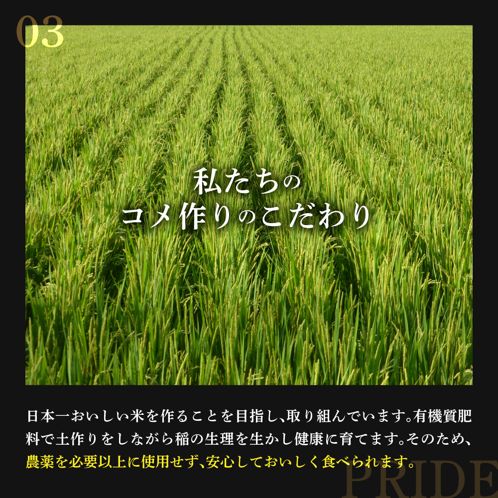 令和7年産 コシヒカリ 5kg 栽培期間中 農薬不使用 化学肥料不使用 産地直送 2025年産
