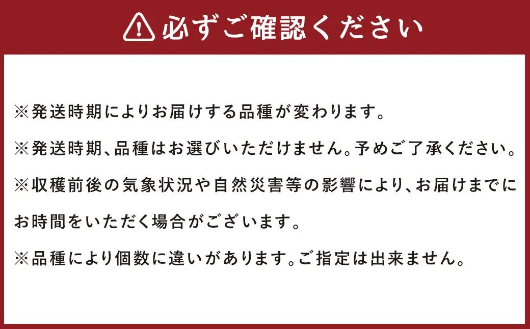 九重町産 電子技法栽培 梨 5kg 果物 大分県産 (豊水・あきづき・新高・新興のうちいずれか一種) 【2026年9月上旬～12月上旬発送予定】