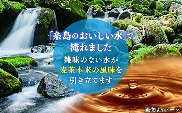 麦茶 ペットボトル 500ml × 24本