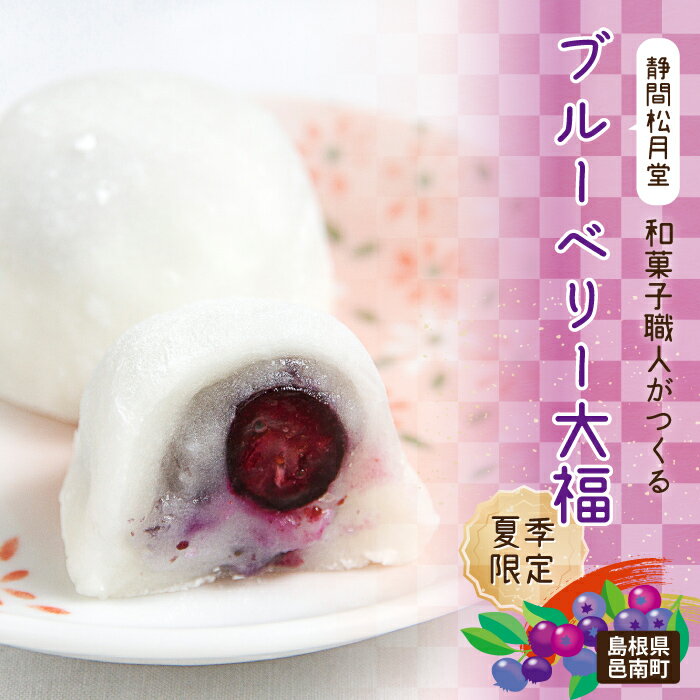 【ふるさと納税】【先行予約】【期間限定】和菓子職人がつくるブルーベリー大福6コ入　2パック