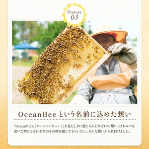 SA2854　国産 はちみつ 百花蜜 「水凪(みずなぎ)」 1個 (300g×1個)