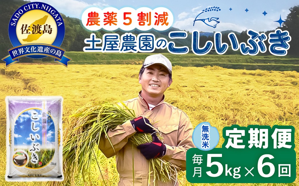 
                  【6か月定期便 こしいぶき】佐渡島産こしいぶき 無洗米 合計30kg（5kg×毎月お届け全6回）令和8年産 新米 農薬・化学肥料5割減 | 新潟県産こしいぶき 新潟産こしいぶき 佐渡産こしいぶき こしいぶき コシイブキ お米 米 無洗米 むせんまい 精米 おこめ コメ 5キロ にいがた さど 新潟県 佐渡市
                