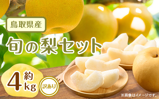 ＜訳あり＞鳥取県産旬の梨セット 4kg【1554510】