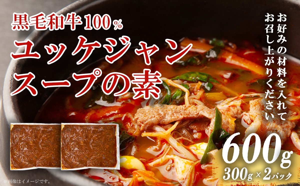 
                  黒毛和牛100％ 焼肉屋のユッケジャンスープの素 300g （約4人前）× 2パック | 肉 牛 牛肉 焼肉 スープ スープの素 テグタン 人気 パック 冷凍 静岡県 小山町
                