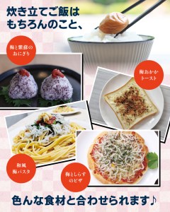紀州南高梅 つぶれ梅 うす塩【ハチミツ入】塩分10%（500g）なかやまさんちの梅干 梅干し 梅干 梅 うめ ウメ【nky017-105k】