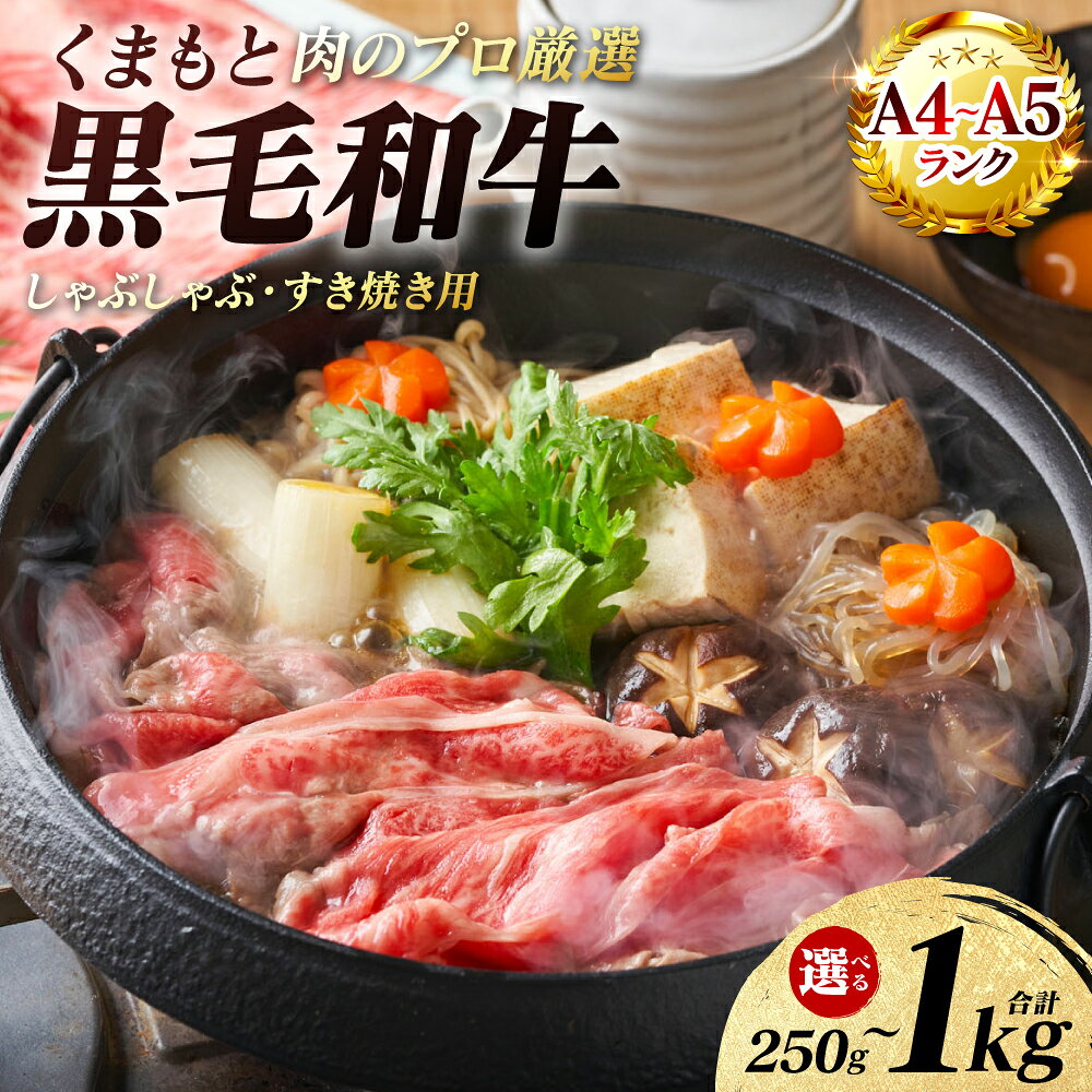 【ふるさと納税】【A4〜A5ランク】 くまもと黒毛和牛 しゃぶしゃぶ すき焼き用 （肩ロース） 250g〜1kg 【選べる内容量】 牛肉 お肉 ロース 黒毛和牛 冷凍 小分け おかず ギフト 熊本県 八代市 送料無料