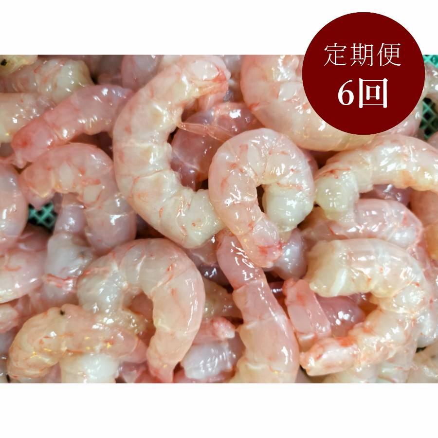 ＜星野水産＞国産天然・無添加「むき海老」（ひげ長海老）200g×5（計1kg）【6ヵ月定期便】・H090