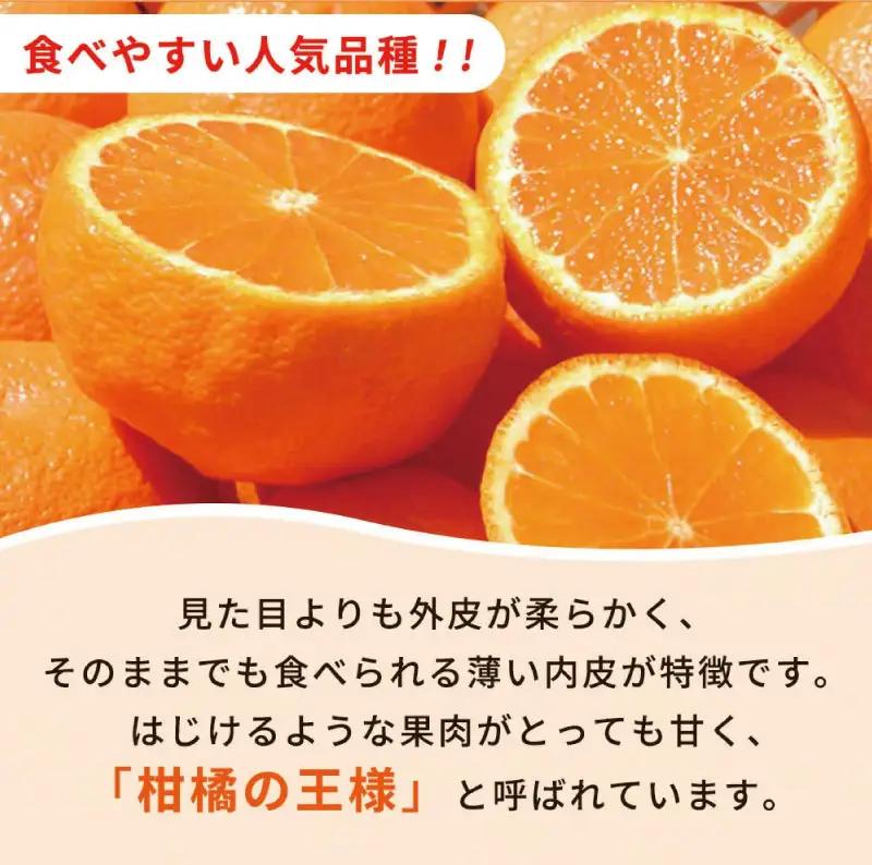 【先行予約】紀州有田産不知火(しらぬひ) 2.5kg ※2027年2月中旬頃〜2027年3月中旬頃に順次発送予定（お届け日指定不可）/ みかん 不知火 和歌山 フルーツ 有田【uot794】