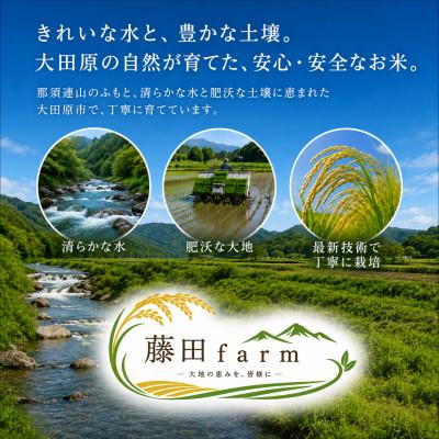 ふるさと納税 大田原市 【令和8年産 新米 先行受付】大田原市産コシヒカリ 無洗米 10kg(5kg×2)【藤田farm】 |  | 01