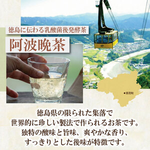 阿波晩茶 ティーバック 15個 お茶 ドリームチーム