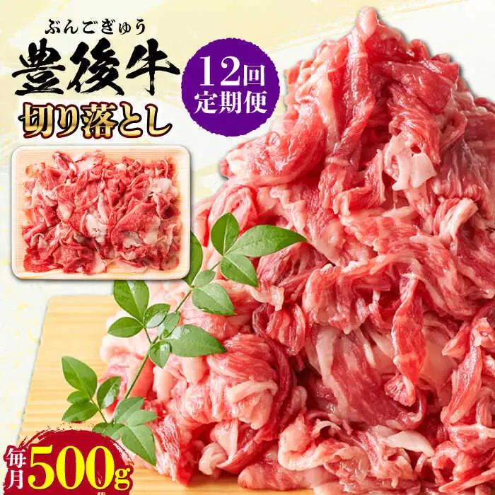 【全12回定期便】【使いやすい！】 おおいた豊後牛 牛肉 切り落とし 500g  牛肉切り落とし 豊後牛[AREI043]