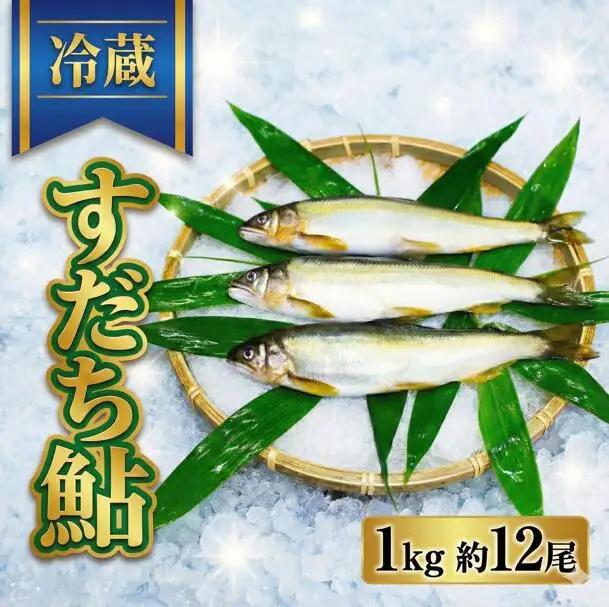 すだち 鮎 1kg 鮎