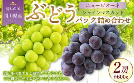 岡山県産 ぶどうパック詰合せ ※2種2パックセット （ ニューピオーネ ・ シャインマスカット ） 【2025年9月上旬～10月下旬発送予定】 ／ ぶどう ブドウ 葡萄 種なし 種無し ピオーネ マスカット 晴王 はるお フルーツ 果物 くだもの 果実
