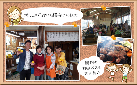 せとか 熊本玉名産 約3kg 水本オレンジガーデン | 果物 くだもの フルーツ 柑橘類 みかん ミカン 熊本県 玉名市 旬  スイーツ 高級品種 高糖度 産地直送