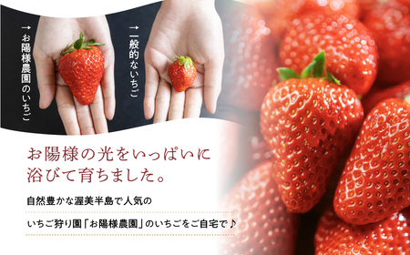 紅ほっぺ 8~15粒 2シート 2月中お届け イチゴ いちご 苺 果物 くだもの フルーツ お陽様農園 先行受付 お取り寄せ 田原市 渥美半島 産地直送 送料無料 事前予約