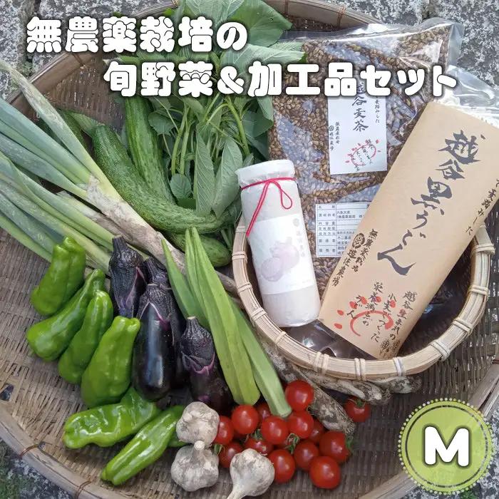 無農薬栽培の旬野菜＆加工品セット　M ／ 野菜 やさい 旬 新鮮 採れたて 産地直送 直送 お取り寄せ 安全 安心 地元 オーガニック野菜 季節野菜 旬野菜 詰合せ 循環農業 埼玉県 No.053