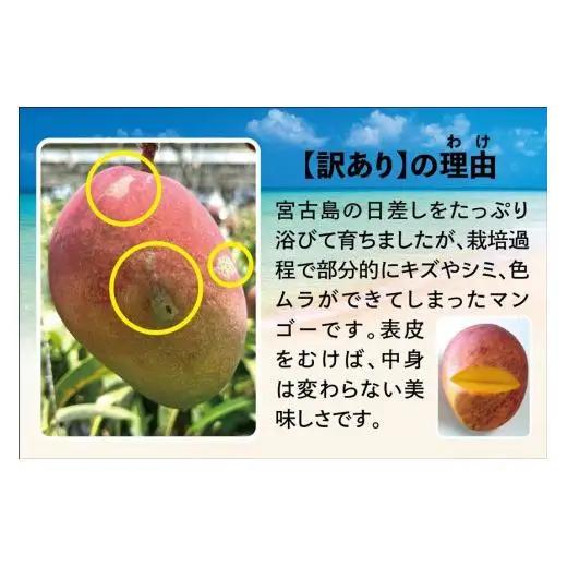 宮古島すがわら農園　【訳あり】完熟マンゴー1kg（2～3玉）（FR003）
