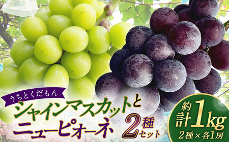【 うちとくだもん 】 のシャインマスカットとニューピオーネ 2種セット 各1房 計2房 約1kg 【 2026年10月上旬～11月下旬まで順次発送予定 】