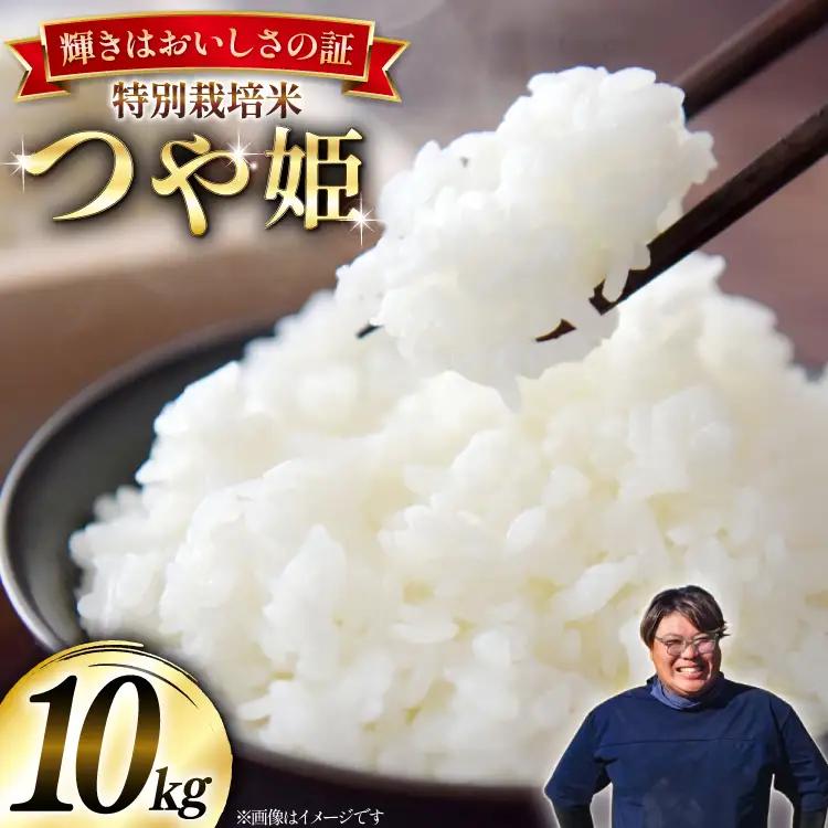 米 令和8年産 特別栽培米 つや姫 10kg (5kg×2) [本田勇仁 山形県 高畠町 tk06bgj910005]