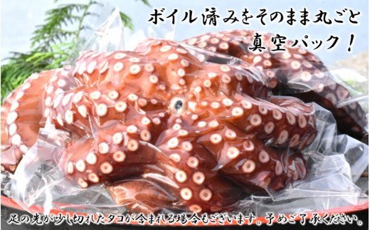 船上活き締め！ゆでたこ丸ごと約1kg（約1～４杯）