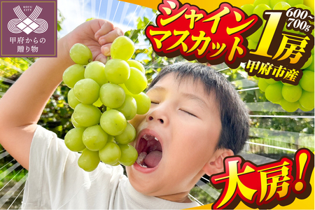 〈2025年度配送分〉甲府市産シャインマスカット大房大粒（600ｇ〜700ｇ）